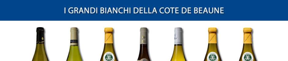 APPROFONDIMENTI DIVINI – OBIETTIVO BOUGOGNE – SERATA EVENTO – I GRANDI DELLA COTE DE BEAUNE – Domenica 16 ottobre ore 20:30