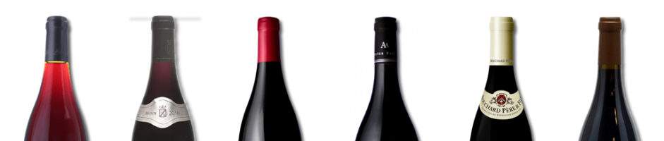 APPROFONDIMENTI DIVINI – OBIETTIVO BOURGOGNE – LA COTE DE BEAUNE PARTE I – Mercoledì 26 ottobre ore 20:30